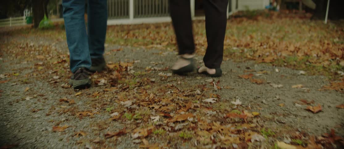 A couple people walk along a path