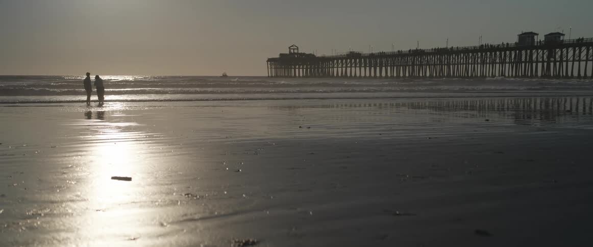 Two people near the sea on the beach during the day