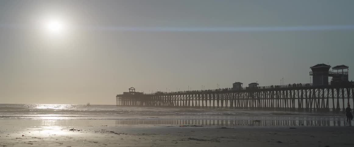 A bird lands on the beach