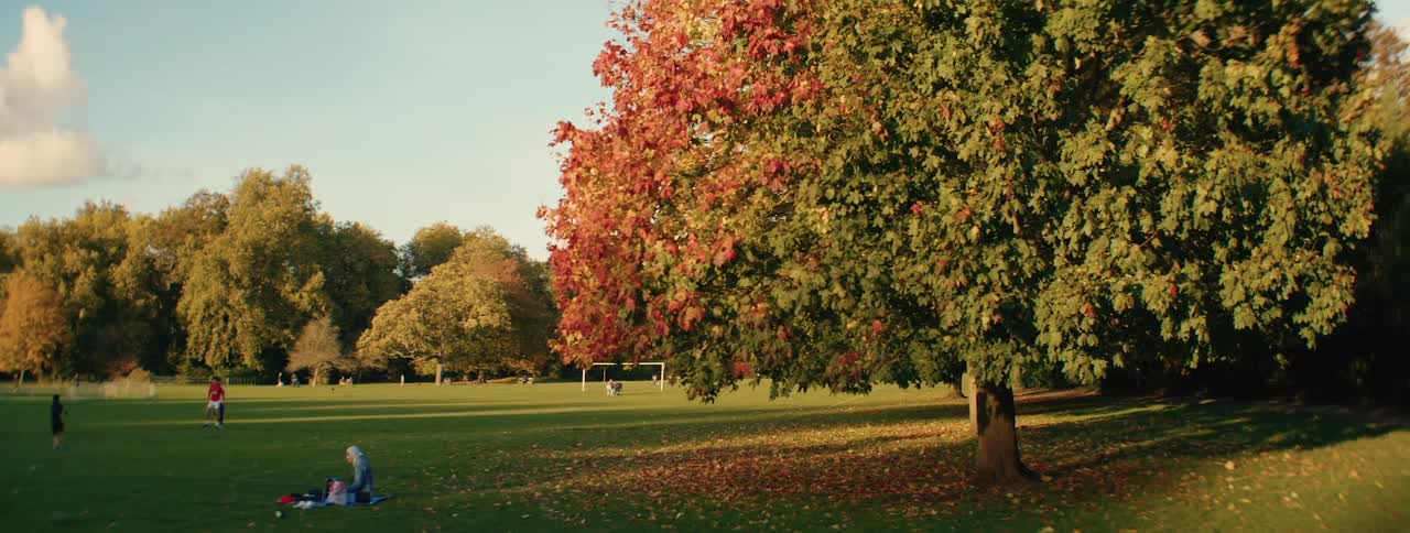 People sitting and others playing in a park surrounded by trees outdoors