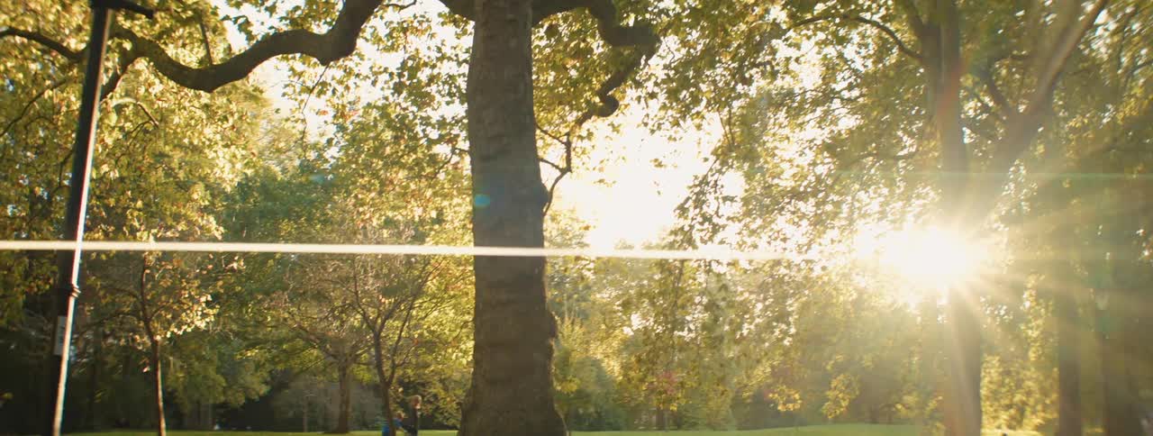 Light posts in the middle of a park with trees and the reflection of the sun