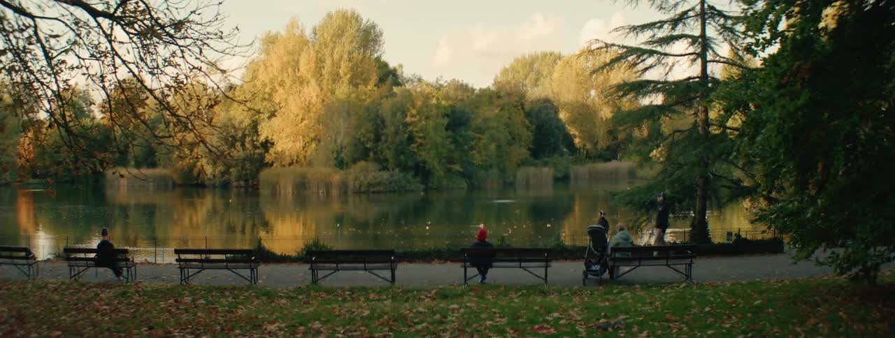 Landscape of a square with a lake and trees in the background