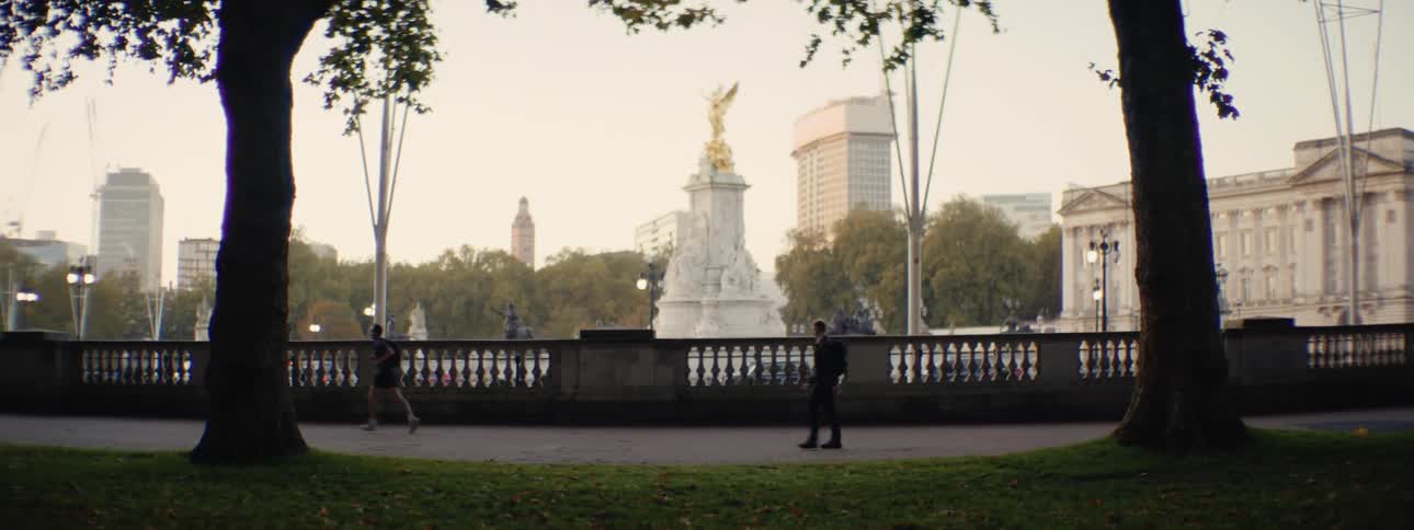 A view of the mall in london with the victoria memorial and buckingham palace in the distance framed by trees