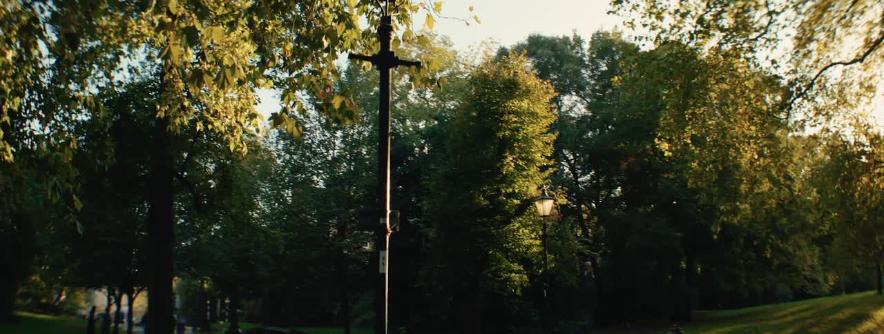 A vintagestyle street lamp stands amidst lush green foliage in a park