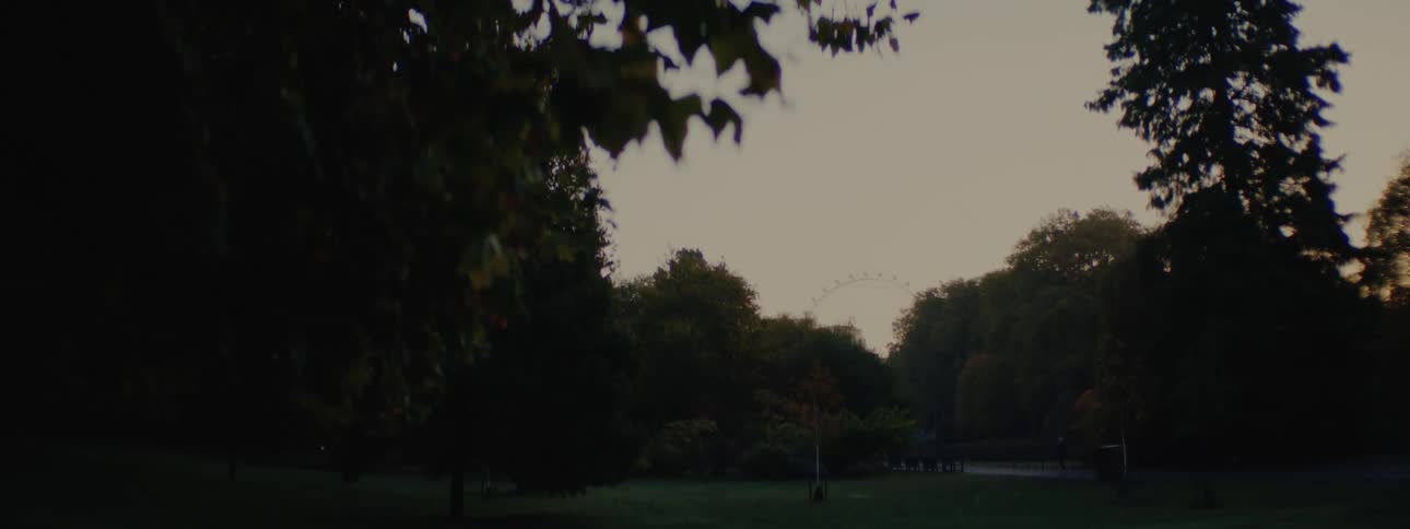 Landscape of a park with grass surrounded by trees