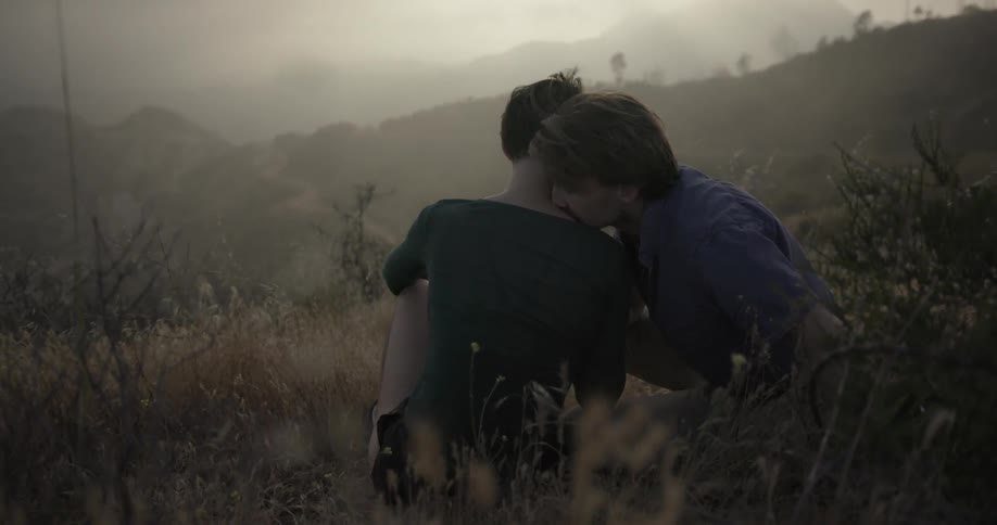 A man and a woman sitting in tall grass hugging and kissing each other