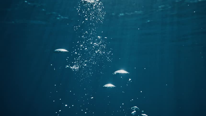 Underwater view of bubbles dissipating near surface of the ocean