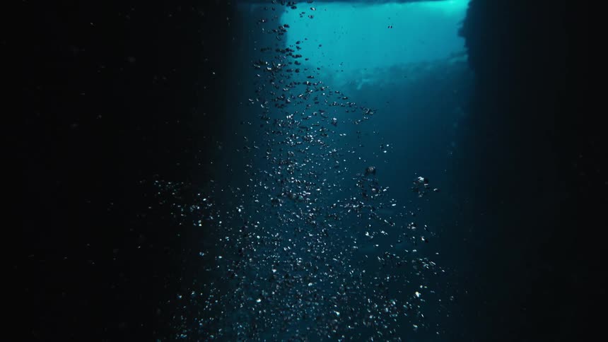 Air bubbles rising towards the ocean surface