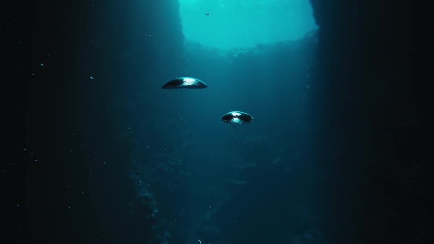 Air bubbles rising to the surface of the ocean