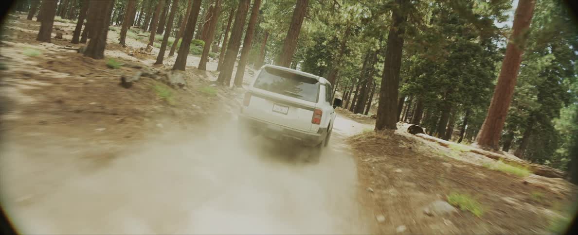 Motor vehicle turns and drives quickly along a dirt road through the forest on a sunny day