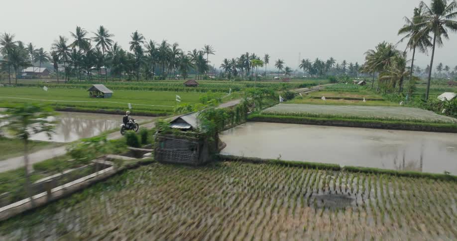 A person rides a motorcycle through a large area of farmland