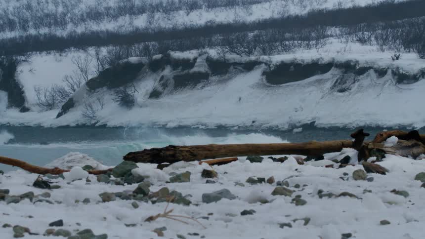 A man is surfing by the snow covered mountain