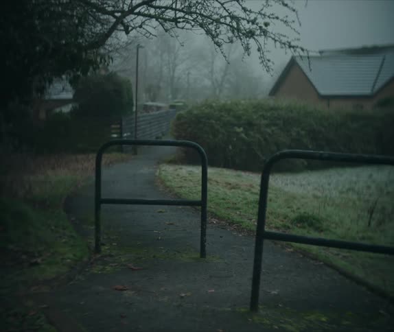 A yard on a foggy day