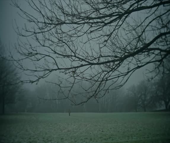 A foggy landscape with bare tree branches a grassy field and a solitary figure walking in the distance among leafless trees