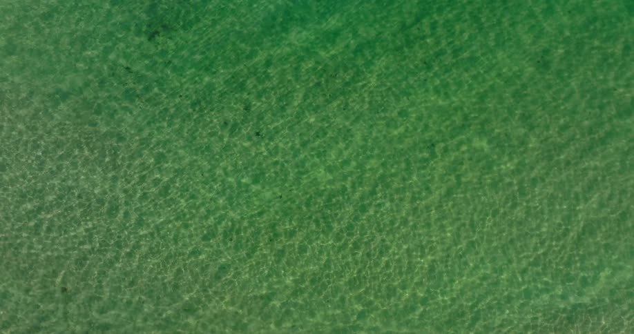 The water shimmers with a vibrant green hue