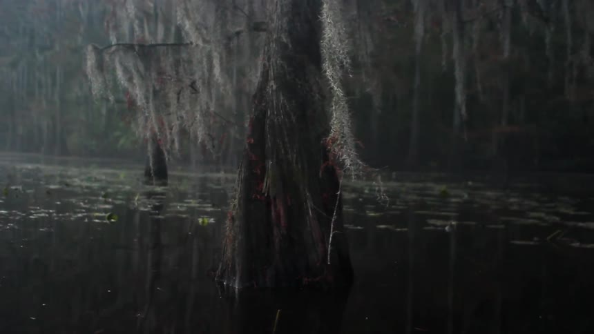 A shallow pond at night