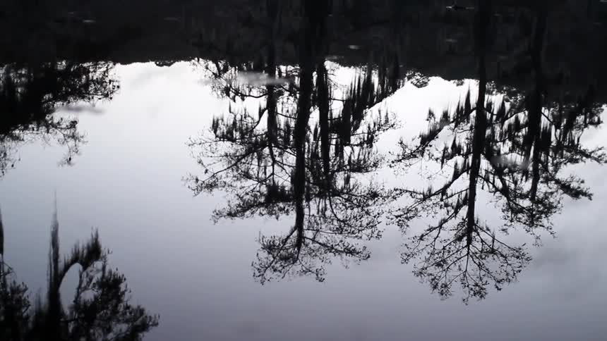 The water is still and reflecting the trees