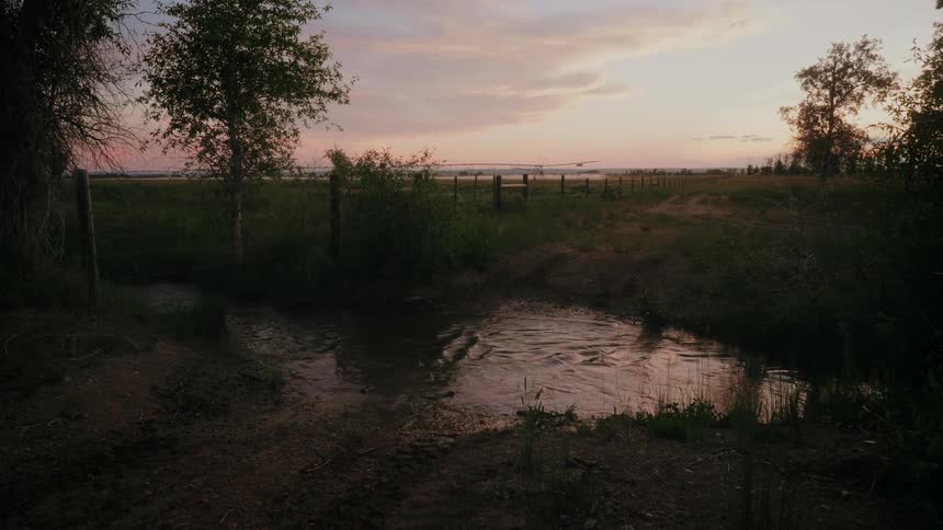 A utility vehicle navigates a narrow dirt path its headlights cutting through the twilight and reflecting in a shallow pool of water before crossing the pool