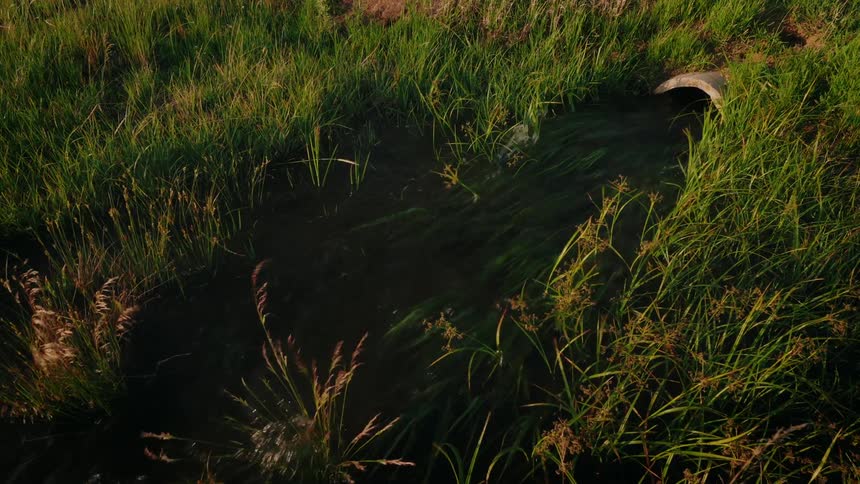 Water flows from a pipe into a field