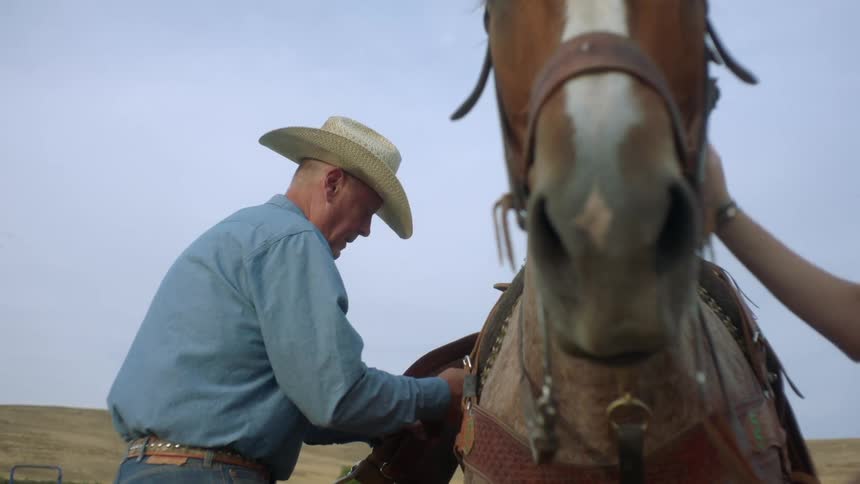 A cowboy adjusts the saddle on a horse in a corral on a ranch