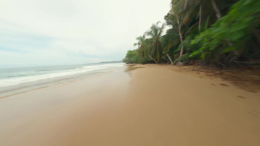 A beautiful sandy beach with gentle waves lapping at the shore framed by lush green trees and a cloudy sky