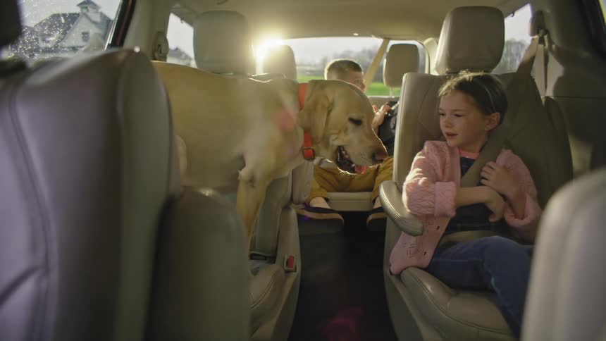 Two children sitting inside a car with a dog