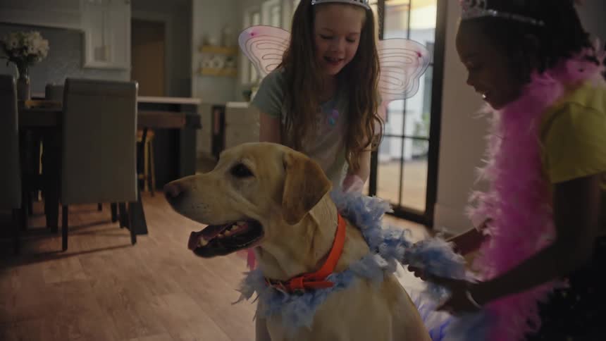 Two little girls in costumes are putting a shiny scarf on a dog that is in between them
