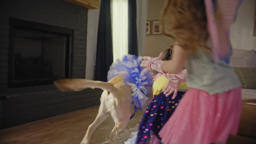 Two young girls dressed in fairy costumes playfully chase and dress up a golden retriever with a blue tutu and feather boas in a home setting