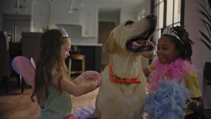 Two happy little girls who are dressed as fairies with crowns are petting a white dog who has his mouth open