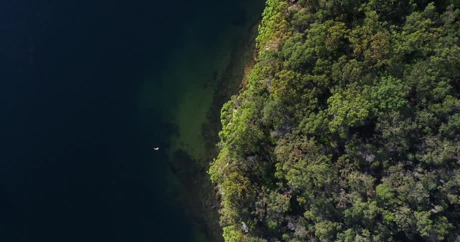 The island by the water is covered with trees