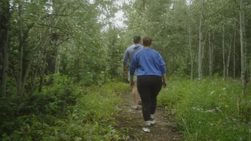 People are hiking on a trail in the woods