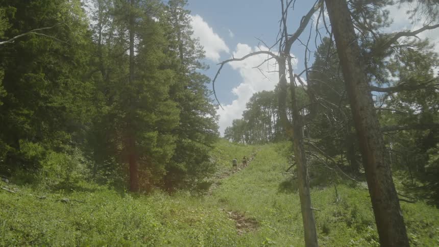 Two people walking on a trail outside of the forest