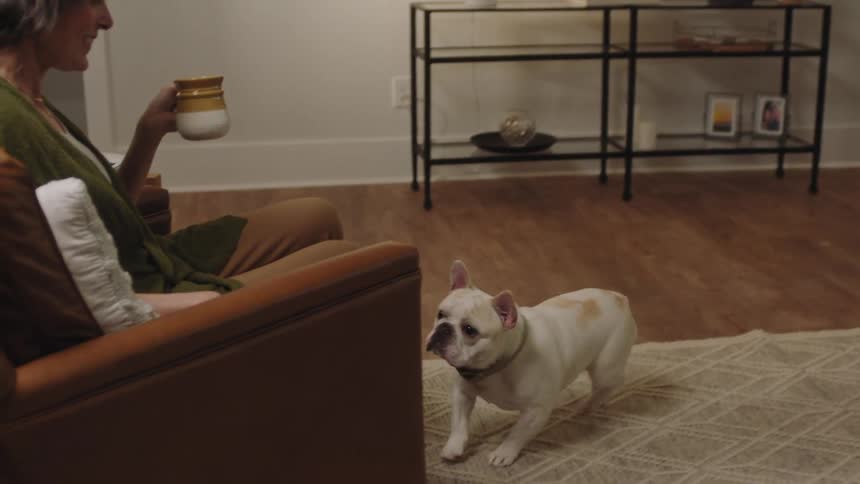 Woman sitting in an armchair in the living room holding a mug and a white fur dog walking towards her