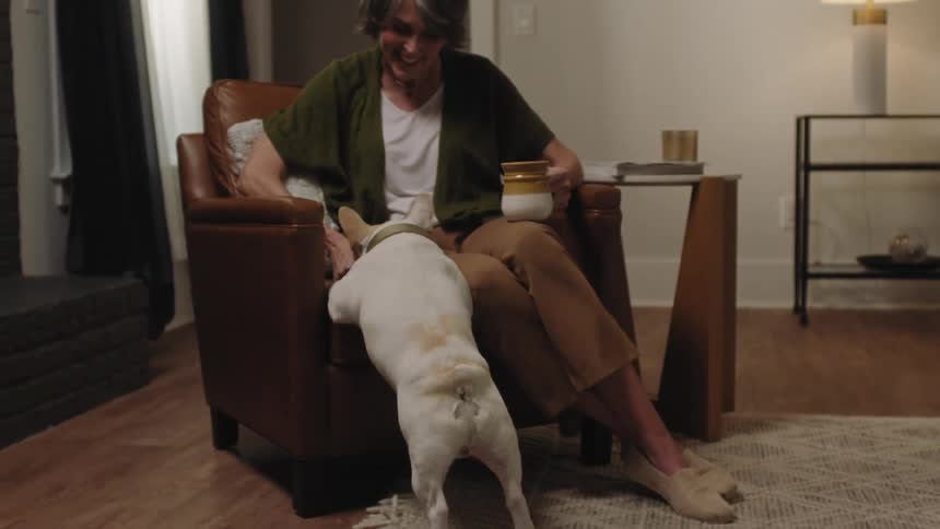 A dog walks over to the woman sitting in the chair