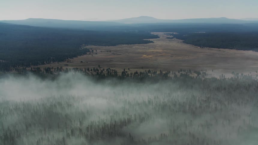 A camera pans right over forest land and an open field