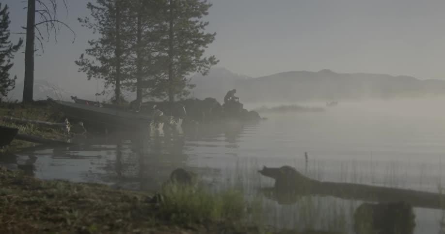 Fog rolls over the shore line