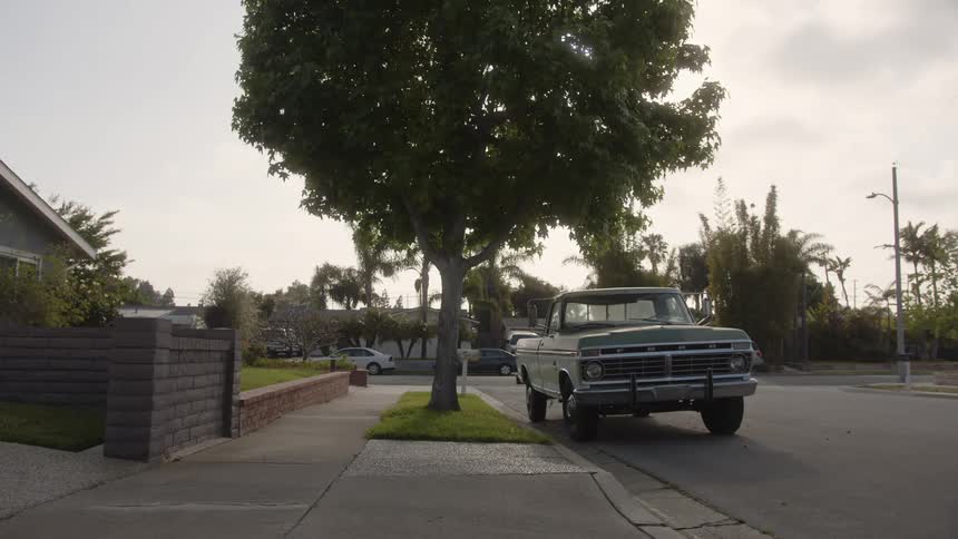 A vintage green pickup truck is parked on a residential street with a large leafy tree providing shade in the afternoon sun