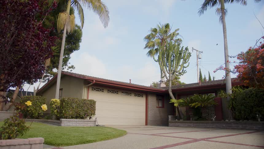 Backyard of a house with a garden with plants and trees