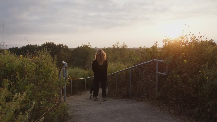 A woman walks her dog past the bushes