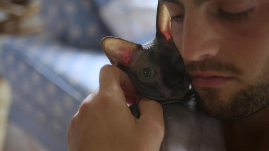 Cat on a mans neck getting affection