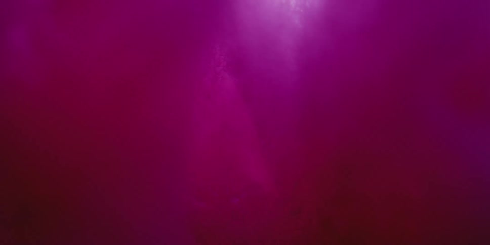 Colorful smoke with a gradient transitioning through red purple and blue hues creating a soft and dynamic atmosphere