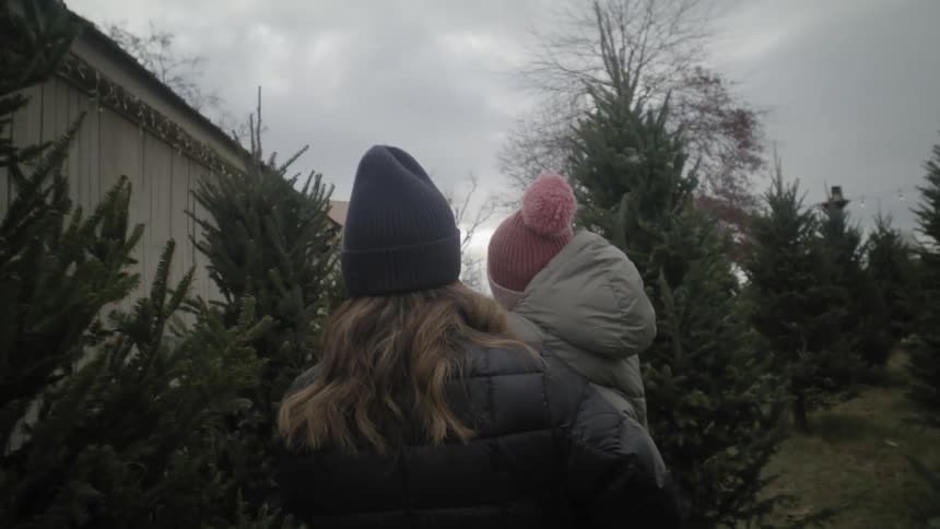 Rear view of mother carrying young daughter while walking in backyard with conifers