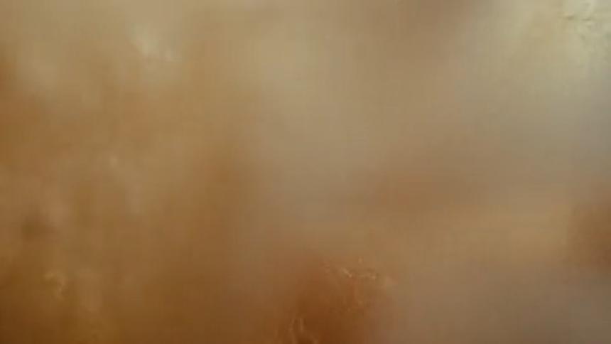 Closeup of the inside of a skin with abstract texture