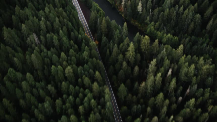 A straight paved road winding through a dense green forest with a river visible alongside it viewed from a high angle