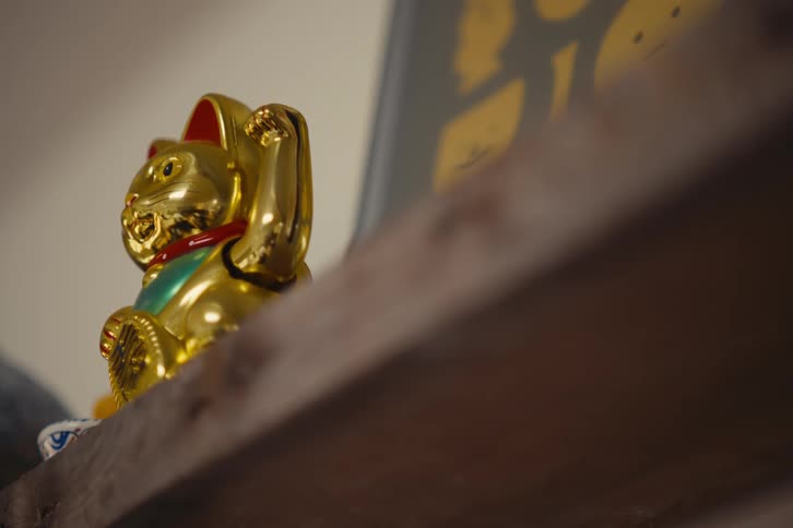 A golden cat toy is waving on the shelf