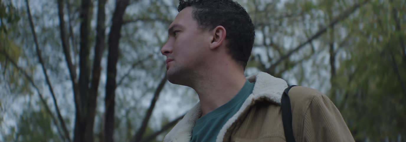 A man standing looking up at the tree branches