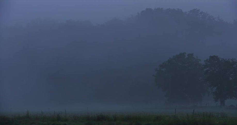 Vehicles driving through a dense fog at dawn with a farmhouse and trees barely visible in the distance