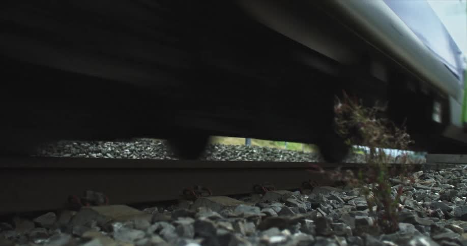 A lowangle view of a train passing over railway tracks with gravel and a small plant visible in the foreground