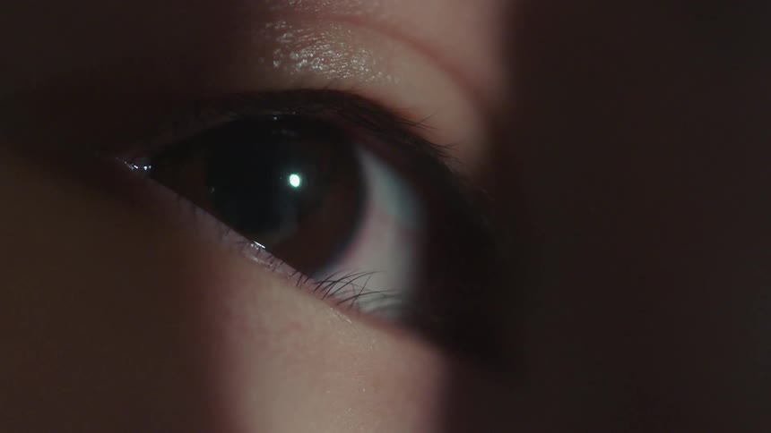 A closeup of a human eye with a dark brown iris and a small highlight reflecting light