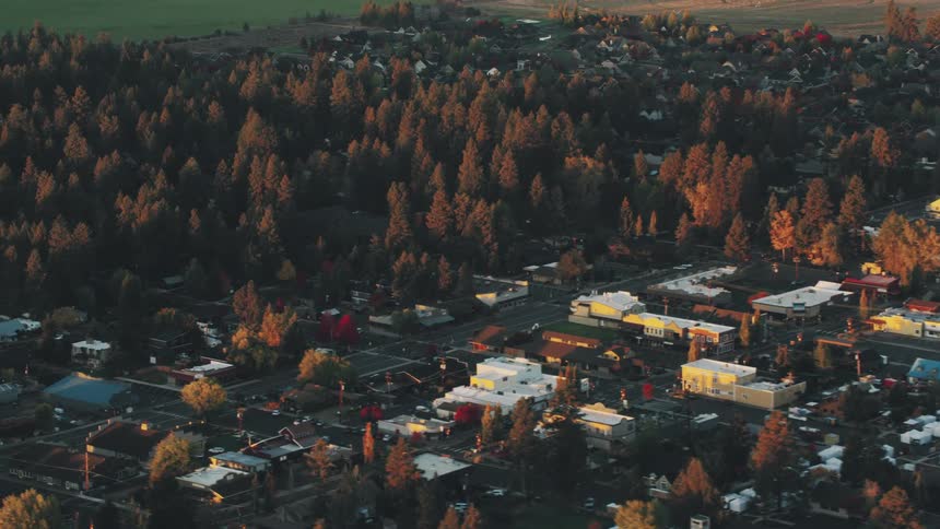 Aerial view of a residential neighborhood surrounded by conifers